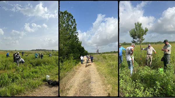 untitled design 3 1024x577 1